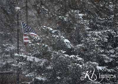 winter flag large view